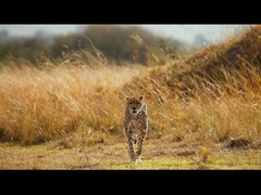 Nachtsichtbrille - 5K Nachtsichtfernrohr für Erwachsene, 5000mAh wiederaufladbares Infrarotfernrohr