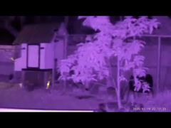 NVG08F Entfernungsmesser-Nachtsichtfernglas