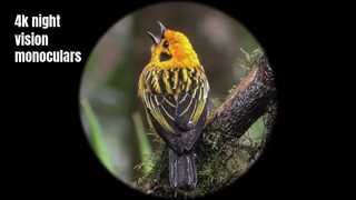 Hochwertiges 4K-Nachtsichtmonokular