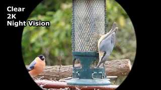 Capture Clear Video 2K Nachtsichtbrille