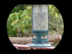 4K-Video Mini91 Nachtsicht-Monokular