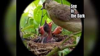 Beobachtung mit Hondigi-Nachtsichtbrille